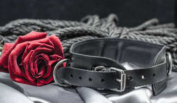 Collars And Leashes - Kinky Playhouse