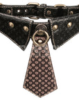 Collar and Leash
