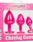 Cheeky Gems - Anal Training Kit - Multiple Colours - K. P.