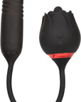 French Kiss Elite - Romeo - Black - K. P.