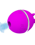 Licking Stimulator - Gemini Ball - Purple - K. P.