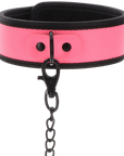 Glow Collar and Chain Leash