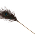 Peacock Tickler