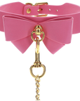 Collar and Leash
