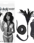 Sex & Mischief Shadow Tie and Tickle Kit