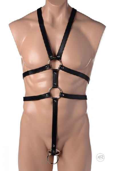Strict - Male Full Body Harness - Black