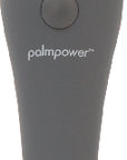 PalmPower Massage Wand