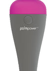 PalmPower Massage Wand