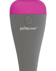 PalmPower Massage Wand
