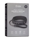 Fetish collar With Leash