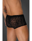 Leopard Flock Short Shorts - Black - K. P.
