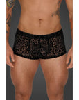 Leopard Flock Short Shorts - Black - K. P.