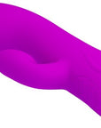 Rabbit Vibrator w/ Suction - Purple - K. P.