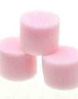 Disposable Sponges (30 Pack)