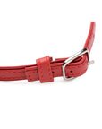 The Master Series - Fiery Pet Leather Choker with Silver Ring - Red - K. P.