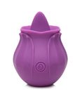 Inmi - Bloomgasm Wild Violet 10X Licking - Violet - K. P.