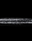 Double Dildo - Flawless 12" - Clear - K. P.