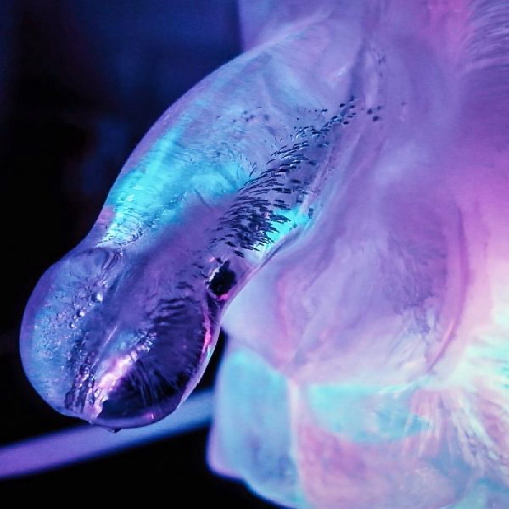 Play Wiv Me - Huge Penis Ice Luge Mould - Clear - K. P.