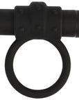 LaViva - Babbitty Rabbitty - Black - K. P.