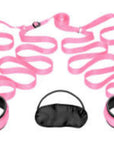 Frisky - Bedroom Restraint Kit - Pink