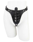 Chastity Harness