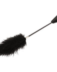 Crop with Big Feathers