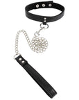 Follow the Leash with Collar