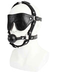 Ball Gag with Eye Mask