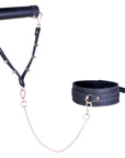 Collar and Leash (Black)