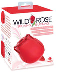 Wild Rose Sucking & Licking