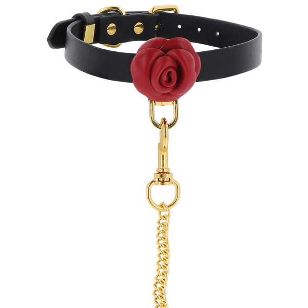 Wild Roses Collar & Leash - Black/Red/Gold