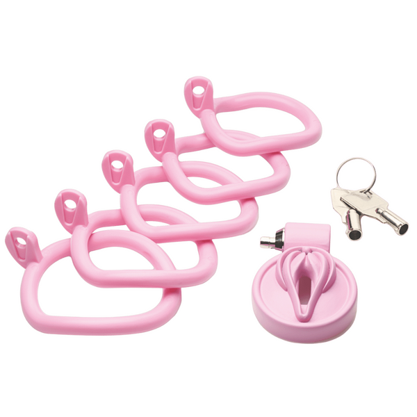 The Master Series - Pussification Vulva Chastity Cage - Pink - K. P.