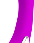 Rechargeable Alston