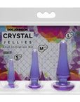 Crystal Jellies - Anal Initiation Kit - Purple