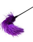 Fetish Collection - Purple Feather Tickler
