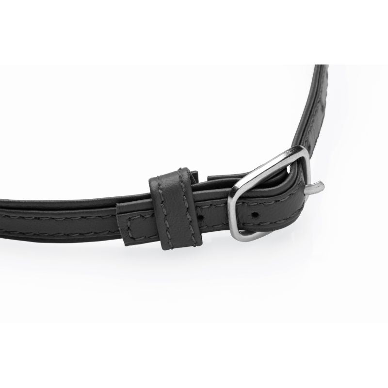 The Master Series - Sex Pet Leather Choker with Silver Ring - Black