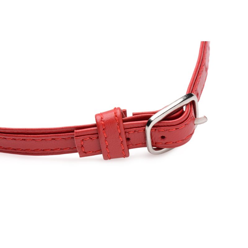 The Master Series - Fiery Pet Leather Choker with Silver Ring - Red